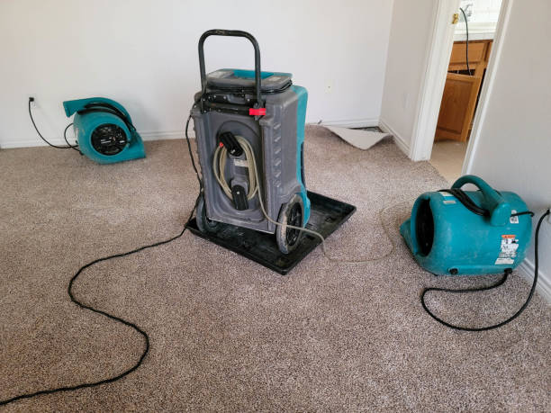 Best Ceiling water damage repair  in Lmdale, PA