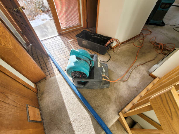  Lmdale, PA Water damage restoration Pros
