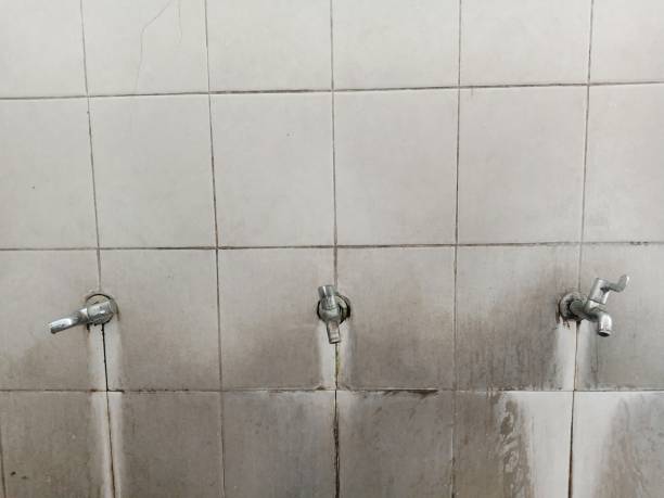 Best Water damage restoration services  in Lmdale, PA