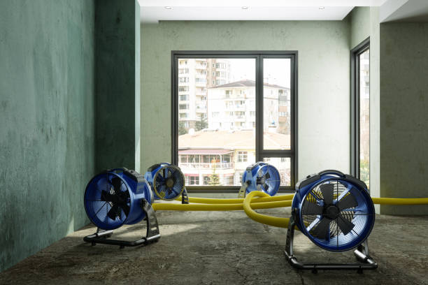 Best Water damage restoration near me  in Lmdale, PA